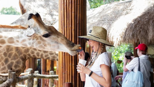 빈펄 사파리 푸꾸옥, 가족여행자를 위한 완벽 가이드 총정리