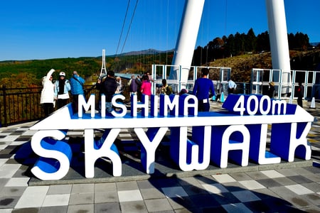 시즈오카 맛집 필수 코스 5곳 총정리 및 리얼 후기