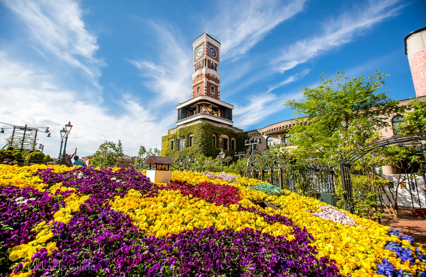 맑은 하늘 아래 알록달록한 꽃밭이 펼쳐진 정원과 그 뒤로 보이는 삿포로 시로이 코이비토 파크의 상징적인 시계탑 전경입니다.