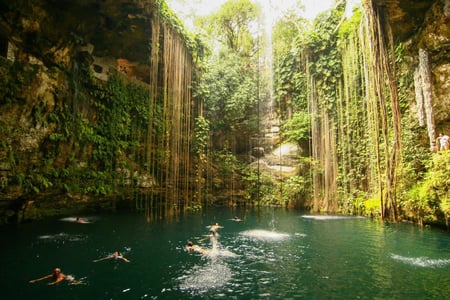 길게 늘어진 초록 덩굴과 이끼 낀 암벽으로 둘러싸인 신비로운 익킬 세노테의 푸른 물속에서 사람들이 여유롭게 수영하는 풍경입니다.