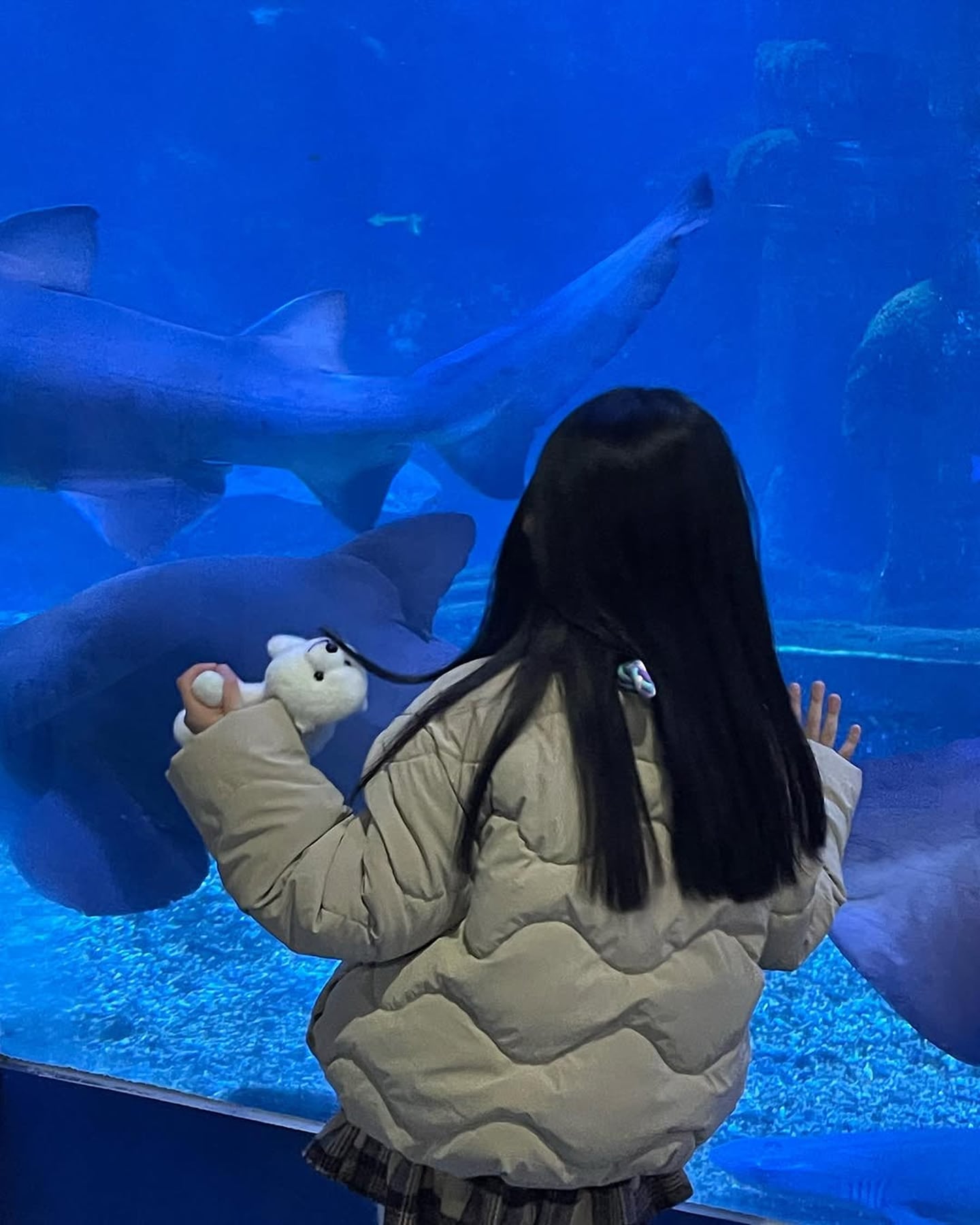 푸른 수족관 유리창 너머로 헤엄치는 상어를 바라보며 하얀 인형을 들고 서 있는 아이의 뒷모습이 신비로운 분위기를 자아냅니다.