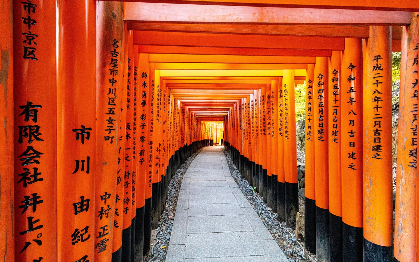 선명한 주황빛 도리이 기둥들이 촘촘하게 늘어서 신비로운 분위기를 자아내는 교토 후시미 이나리 신사의 고요한 산책길 전경입니다.