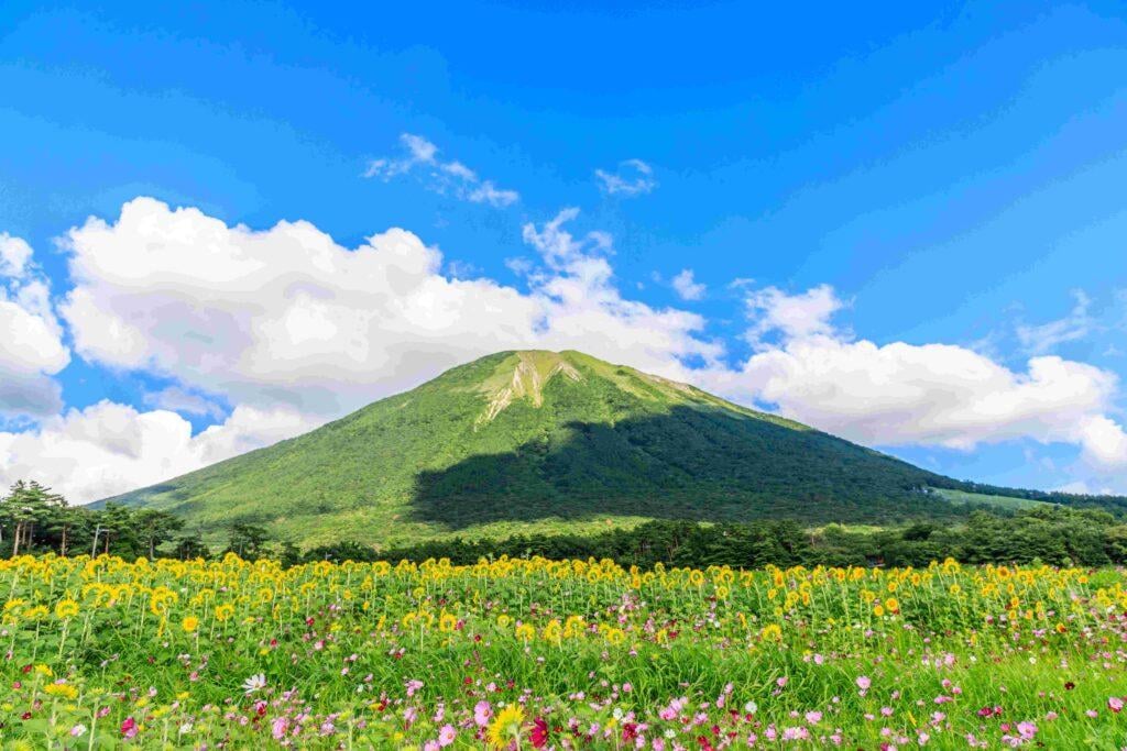 워드프레스_11_5_요나고_출처 일본 공식 관광청_https-:www.japan.travel:ko:spot:942:.jpg