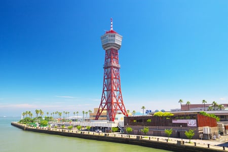 후쿠오카 마린 월드 완벽 가이드: 예약 명소 꿀팁 총정리