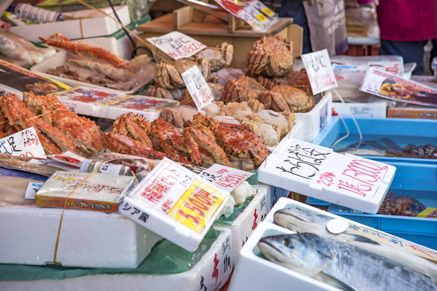 하코다테_하코다테아침시장_01_visit-hokkaido.jp_10031_5_l