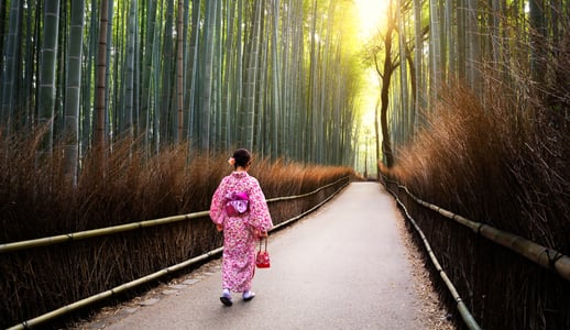 혼자 배낭을 메고 여행하는 뒷모습