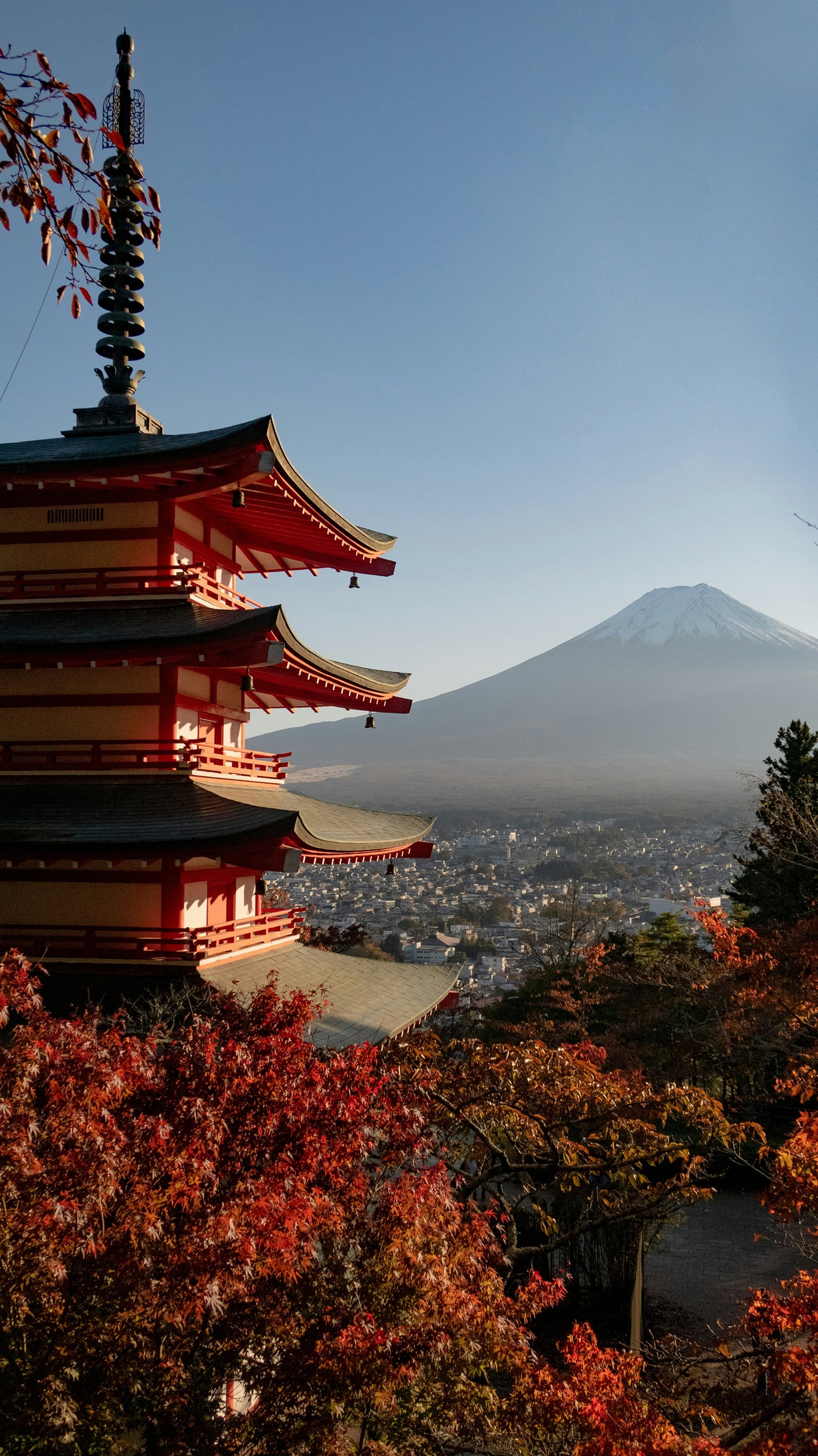 스팟체험_야마나시_아라쿠라야마 센겐 공원_unsplash_PMkQ7WVWqr0