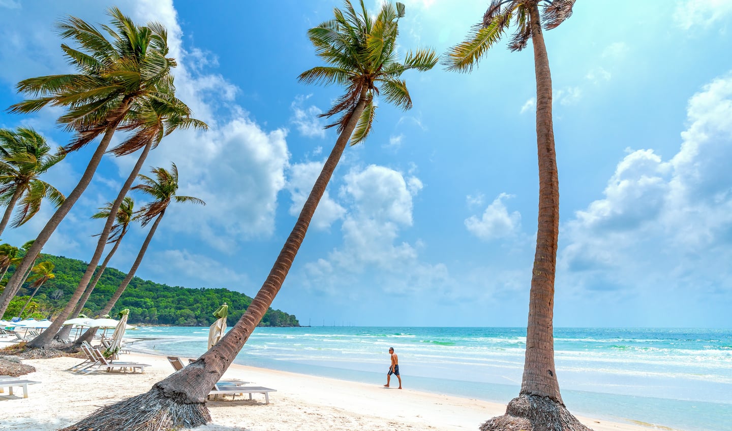 에메랄드빛 바다와 하얀 모래사장이 어우러진 해변에서 야자수 사이로 한 남성이 여유롭게 산책하며 휴가를 즐기는 풍경입니다.