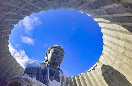 삿포로 마코마나이 타키노 영원의 힐에 위치한 두대불이 눈 덮인 모습으로 원형 천장 아래 푸른 하늘을 마주하며 장엄하게 서 있는 풍경입니다.