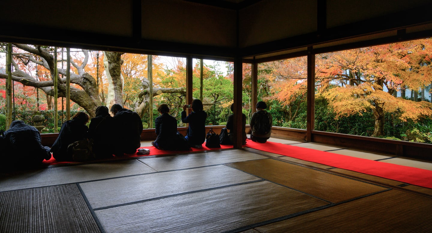 전통적인 다다미 방의 붉은 카펫 위에 나란히 앉아 창밖으로 펼쳐진 화려한 가을 단풍 정원을 감상하는 관광객들의 뒷모습입니다.