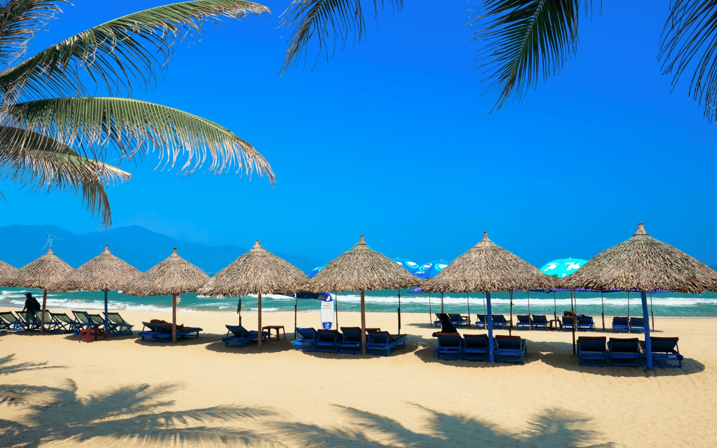 맑고 푸른 하늘과 에메랄드빛 바다를 배경으로 백사장에 줄지어 설치된 초가 파라솔과 휴식을 위한 파란색 선베드들이 평화로운 휴양지 분위기를 자아냅니다.