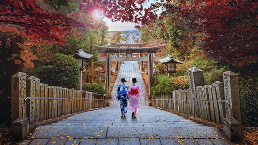 후쿠오카 관광 명소 BEST 5, 시내부터 근교 온천까지 완벽 정리