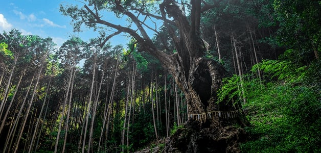 후쿠오카 사가 여행 3박4일 코스 및 명소 맛집 총정리