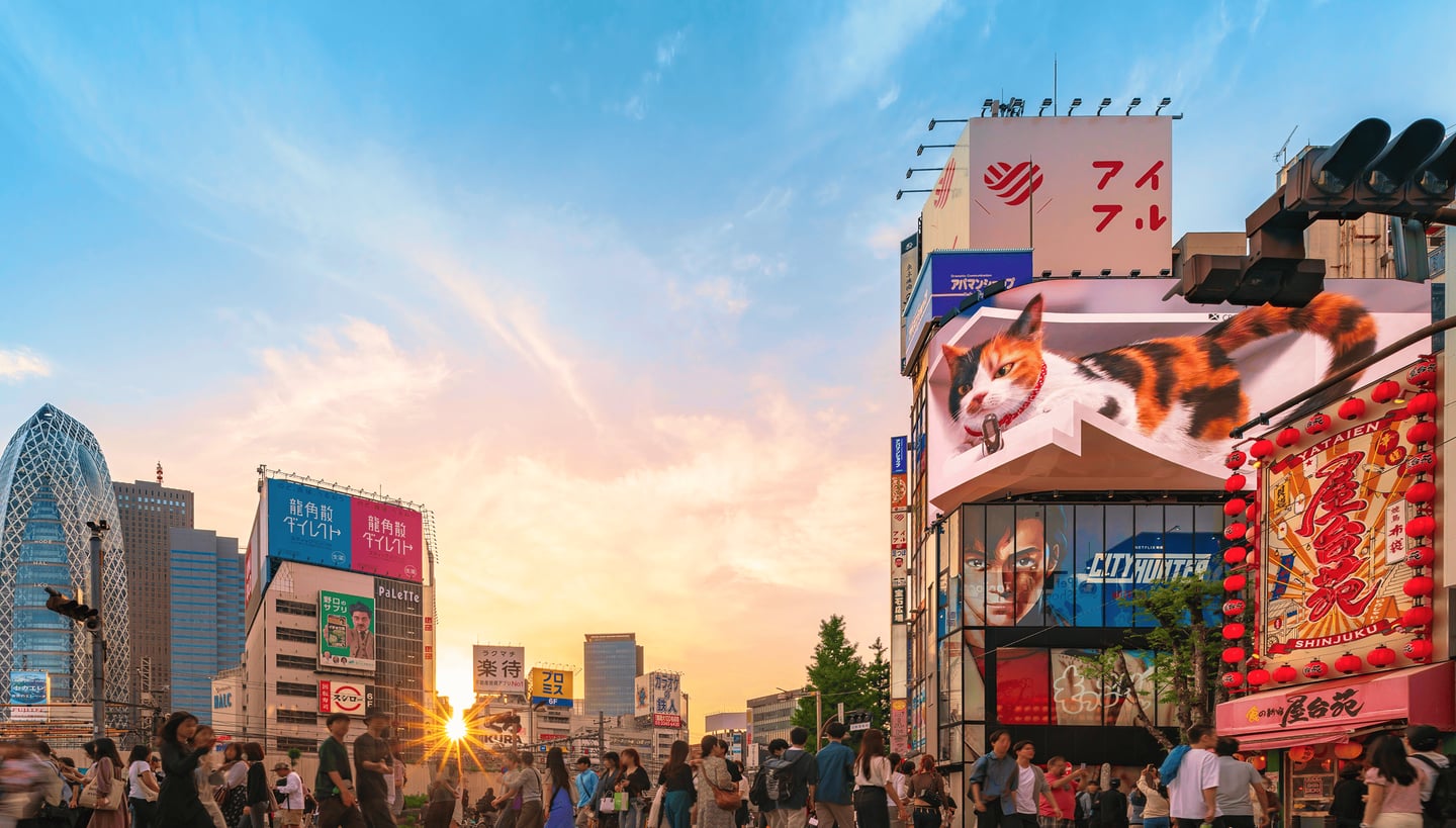 노을이 물든 신주쿠 거리에서 대형 3D 고양이 전광판과 독특한 외관의 모드 학원 코쿤 타워가 보이는 도심의 활기찬 저녁 풍경입니다.