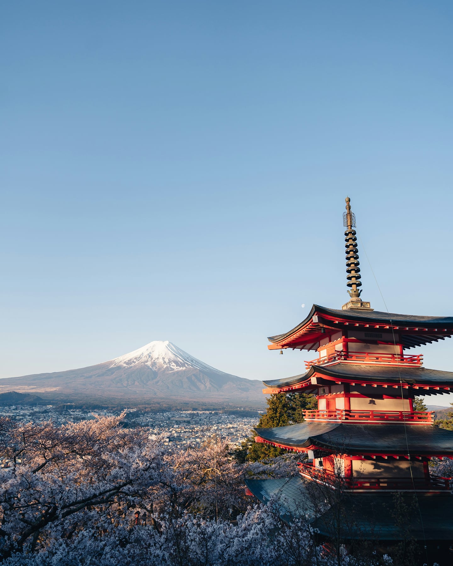 스팟체험_야마나시_아라쿠라야마 센겐 공원_unsplash_SROzJ5nhMRQ