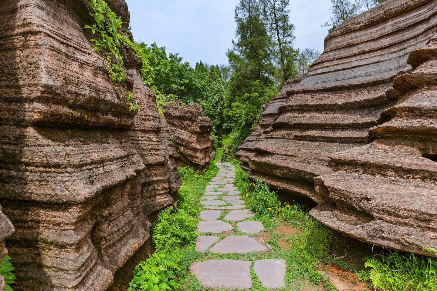 스팟체험_중국_장가계_홍석림_shutterstock_1367238611