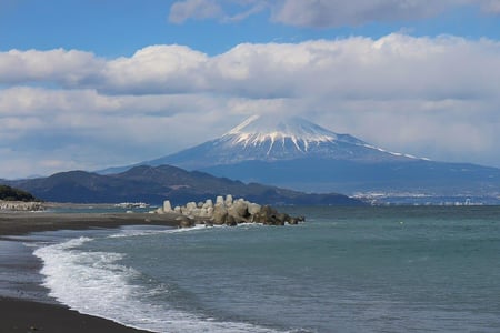 맑고 푸른 하늘을 배경으로 흰 눈이 쌓인 후지산의 전경과 호숫가에 흔들리는 황금빛 갈대들이 어우러진 평온한 자연 경관입니다.
