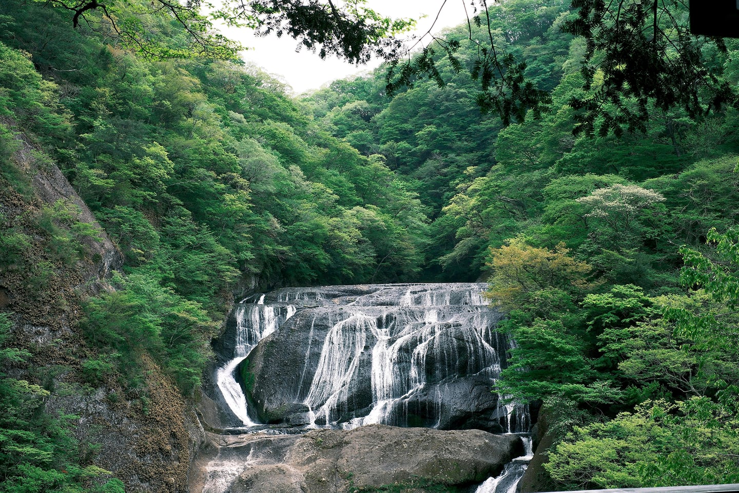 스팟체험_시즈오카_시라이토 폭포 (산책로)_unsplash_BGz_26Si6Ts