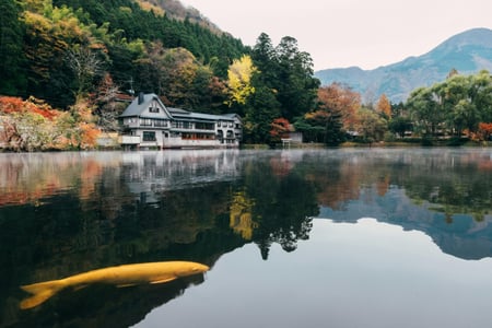 구마모토 볼거리 BEST 5, 성부터 아소산까지 완벽 정리