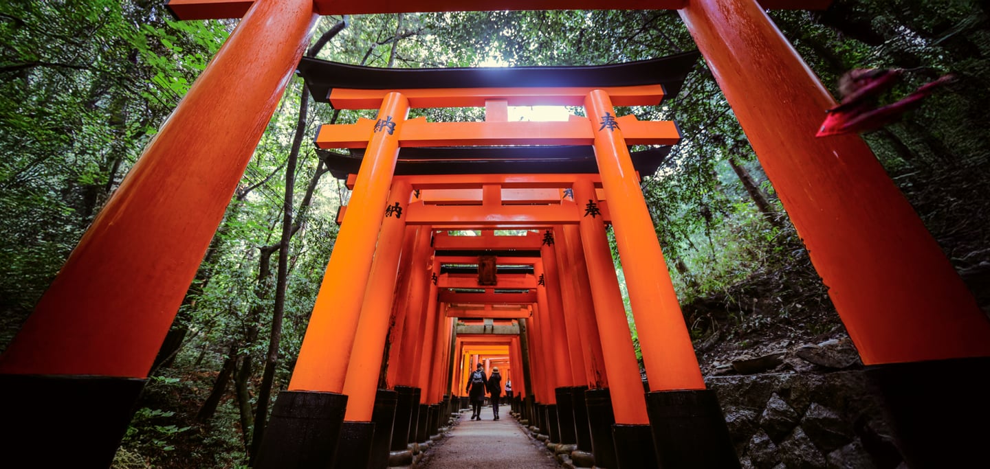 교토 후시미 이나리 신사의 울창한 숲길을 따라 선명한 주황빛 도리이들이 겹겹이 세워져 장관을 이루는 풍경입니다.
