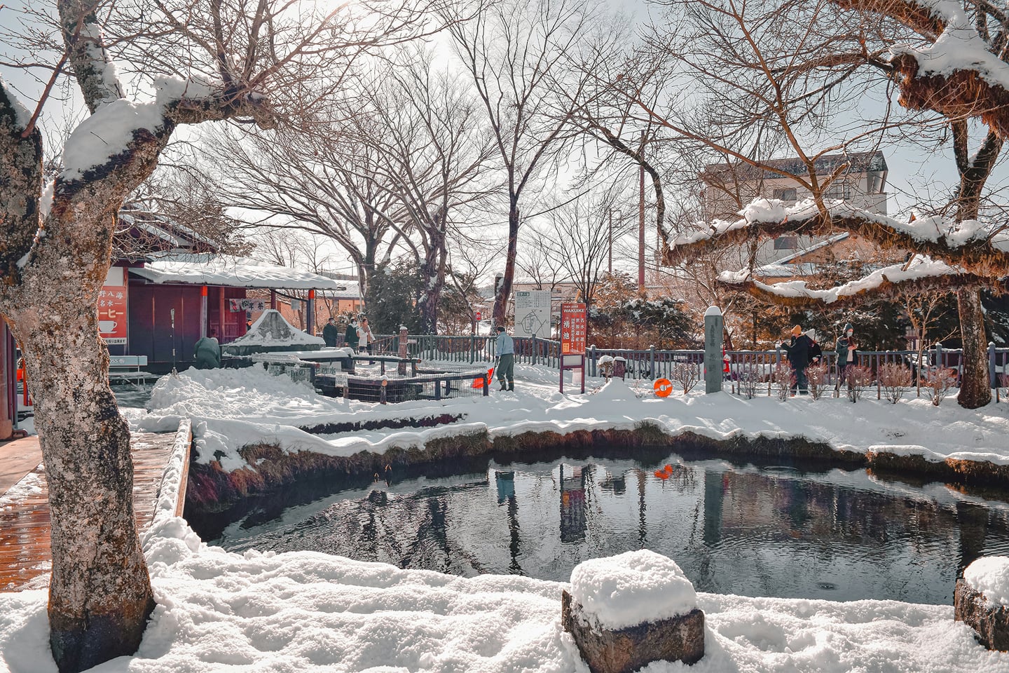 스팟체험_야마나시_오시노 핫카이_unsplash_wHkORXm-xK4