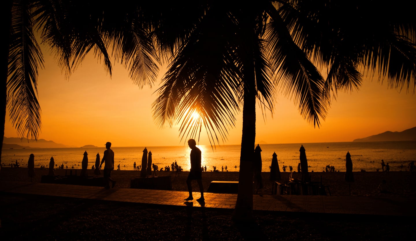 황금빛 노을이 지는 해변 산책로에서 야자수 실루엣 너머로 산책하는 사람들과 바다의 평화로운 저녁 풍경이 펼쳐집니다.