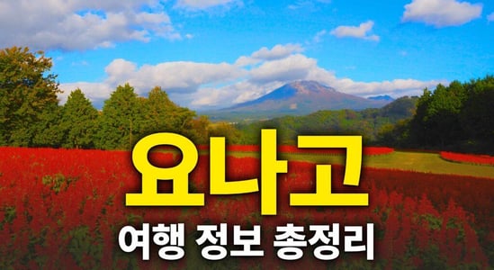 워드프레스_11_1_요나고