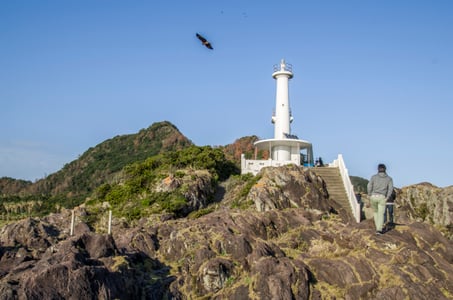 가고시마 나가사키바나 여행, 완벽한 하루 코스 총정리