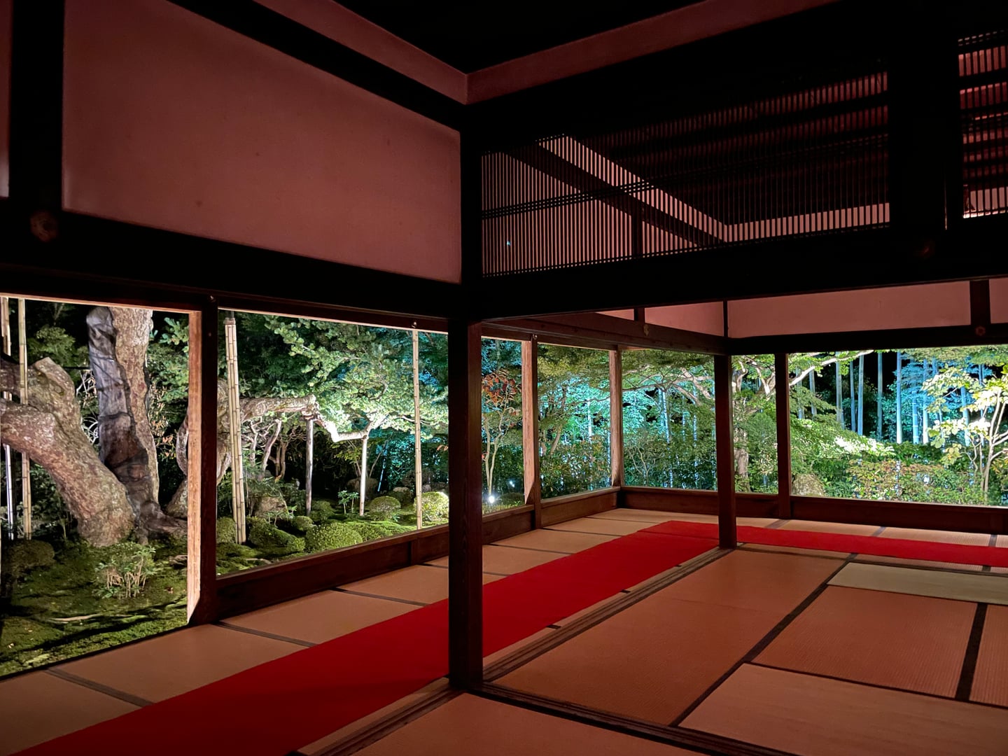 교토 호센인, 다다미 방의 기둥 사이로 보이는 라이트업 된 정원과 700년 된 오엽송의 신비로운 야경입니다.