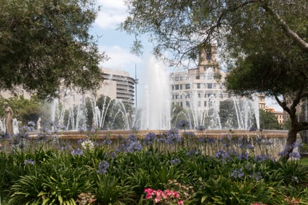 카탈루냐 광장, 바르셀로나 여행의 시작과 끝! 공항버스·맛집·쇼핑 꿀팁 총정리
