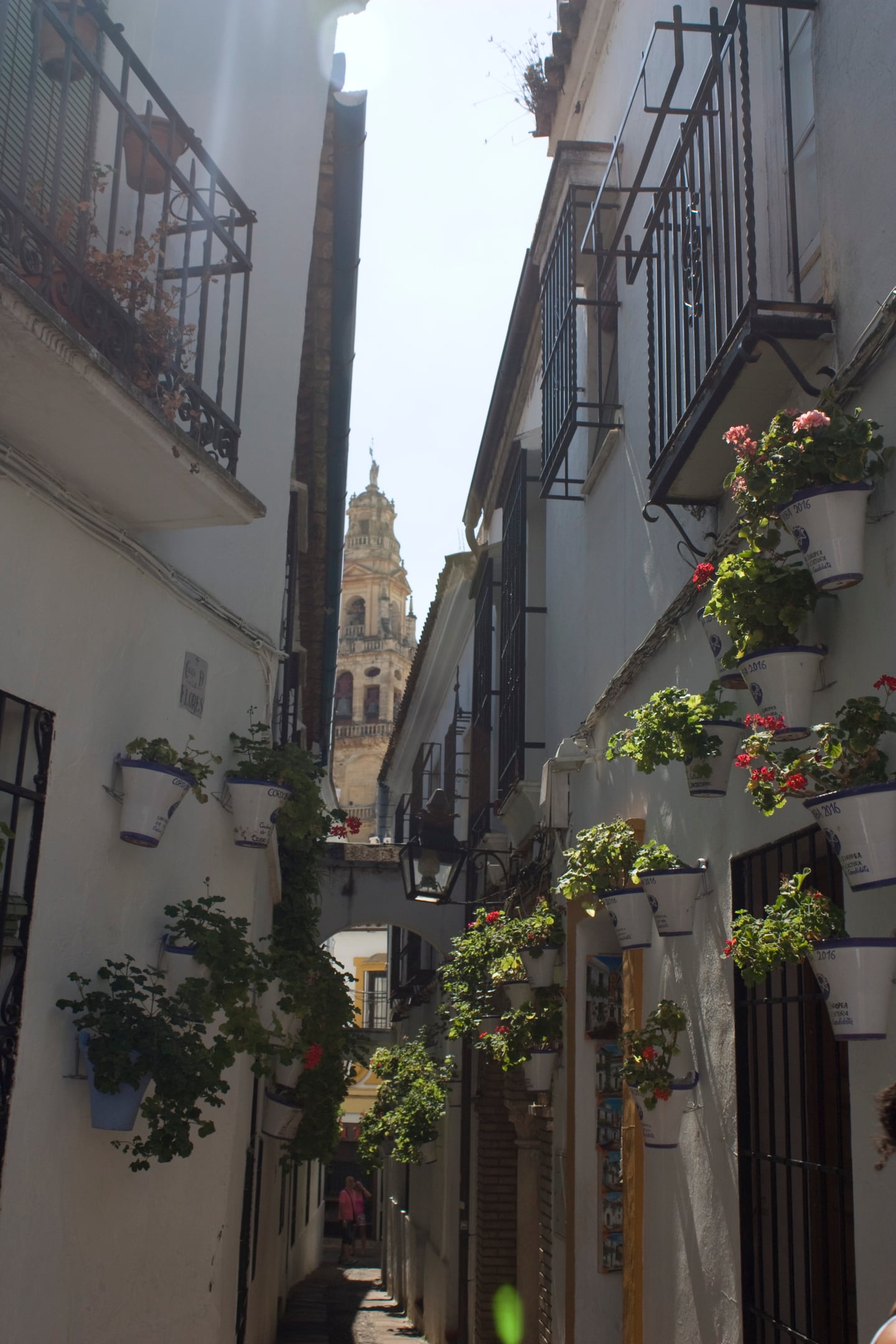 코르도바 꽃의 길, 하얀 벽면에 걸린 화분들 사이로 멀리 보이는 메스키타 종탑이 조화를 이루는 좁고 고즈넉한 골목길 풍경입니다.