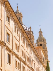 살라망카 대학교 여행, 개구리 찾고 학점 A+ 받기 총정리