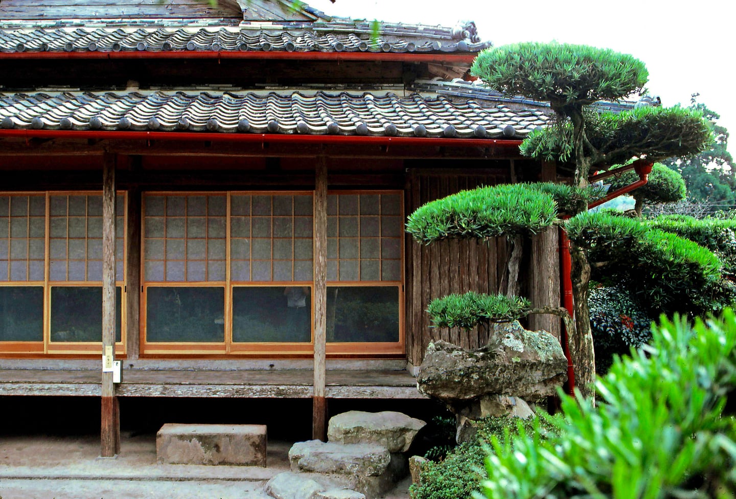 가고시마 치란 사무라이 마을, 고풍스러운 기와지붕 가옥과 정교하게 가꾸어진 소나무 정원이 어우러진 평화로운 풍경입니다.