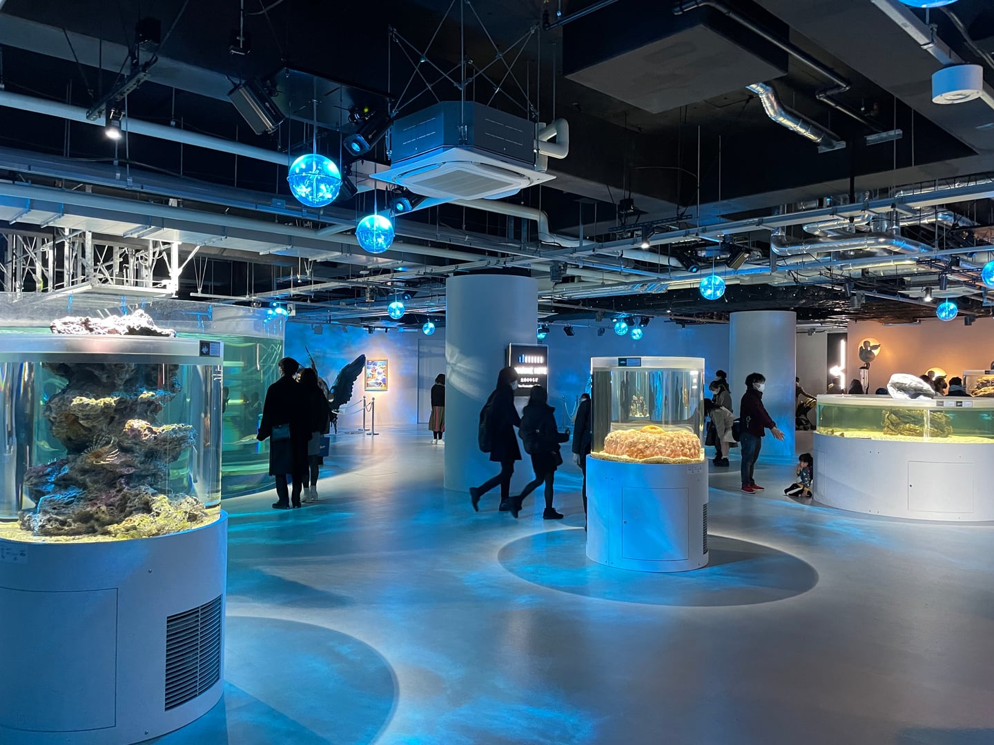 고베 고베 포트 뮤지엄 아토아, 푸른 조명과 예술적인 원통형 수조가 어우러진 몽환적인 실내 수족관 전시 공간의 전경입니다.