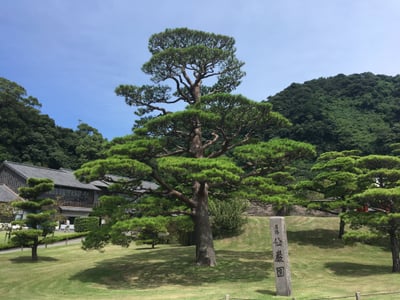 센간엔, 초록빛 일본식 정원