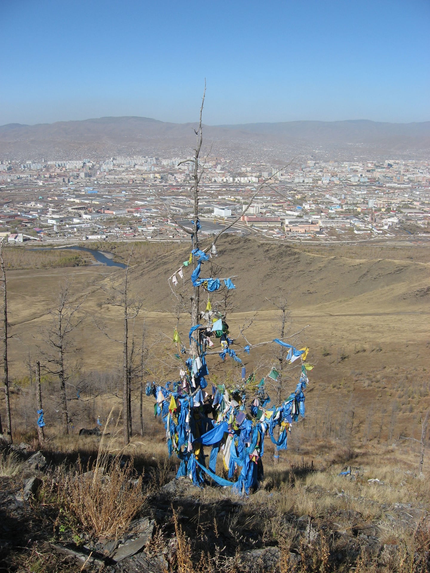 울란바토르 오워, 푸른색 하닥 천이 묶인 나무 너머로 펼쳐진 몽골 수도의 광활한 도시 전경과 맑은 하늘이 조화를 이룹니다.