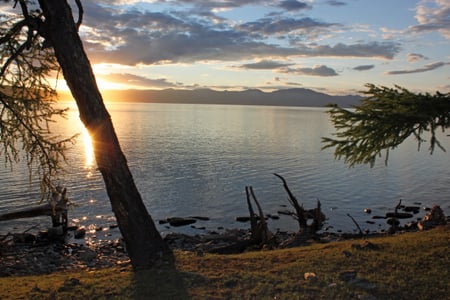 홉스골 홉스골, 호숫가 고목 사이로 붉게 물든 일몰의 햇살이 잔잔한 물결 위로 부드럽게 부서지는 평화로운 풍경입니다.