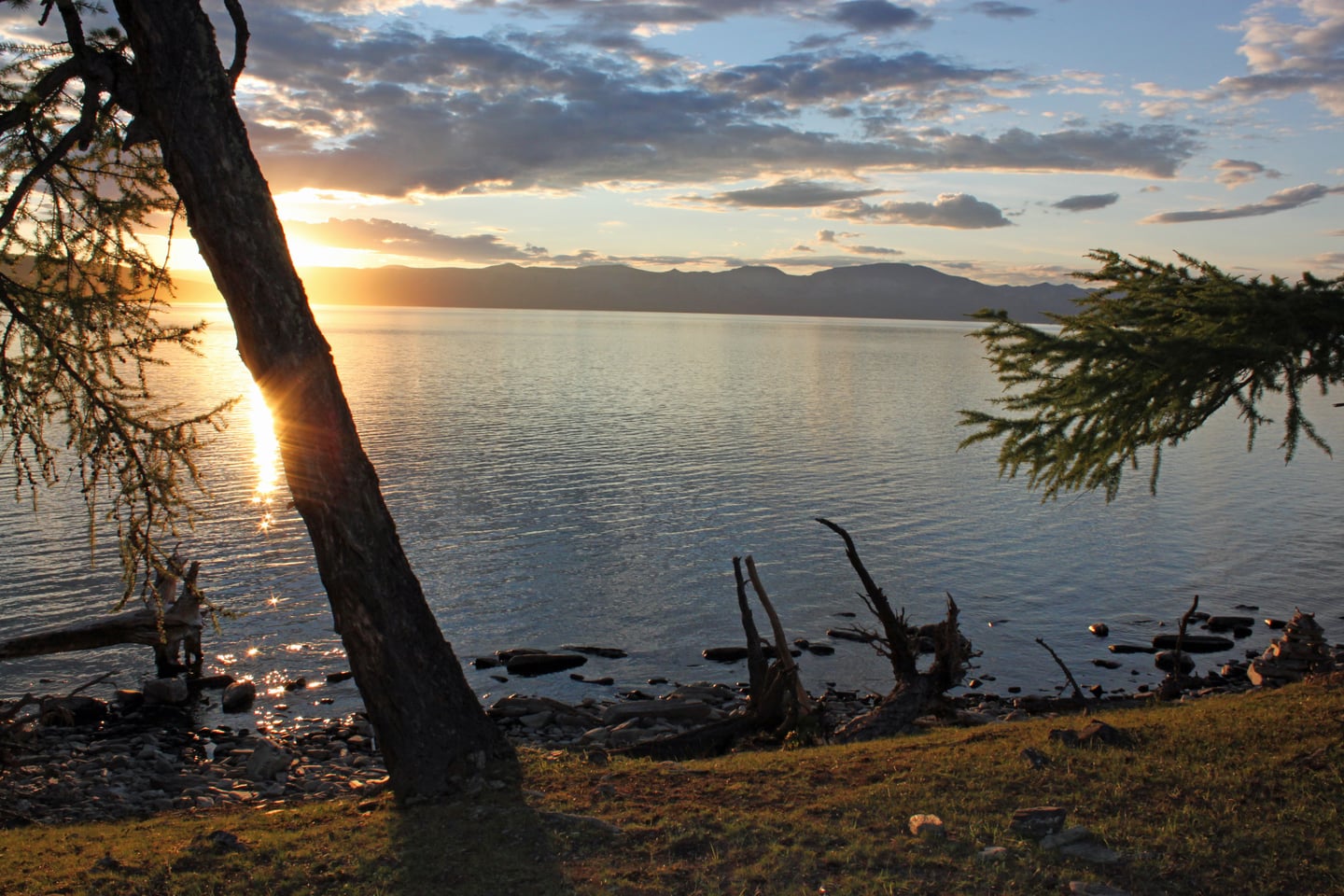 홉스골 홉스골, 호숫가 고목 사이로 붉게 물든 일몰의 햇살이 잔잔한 물결 위로 부드럽게 부서지는 평화로운 풍경입니다.