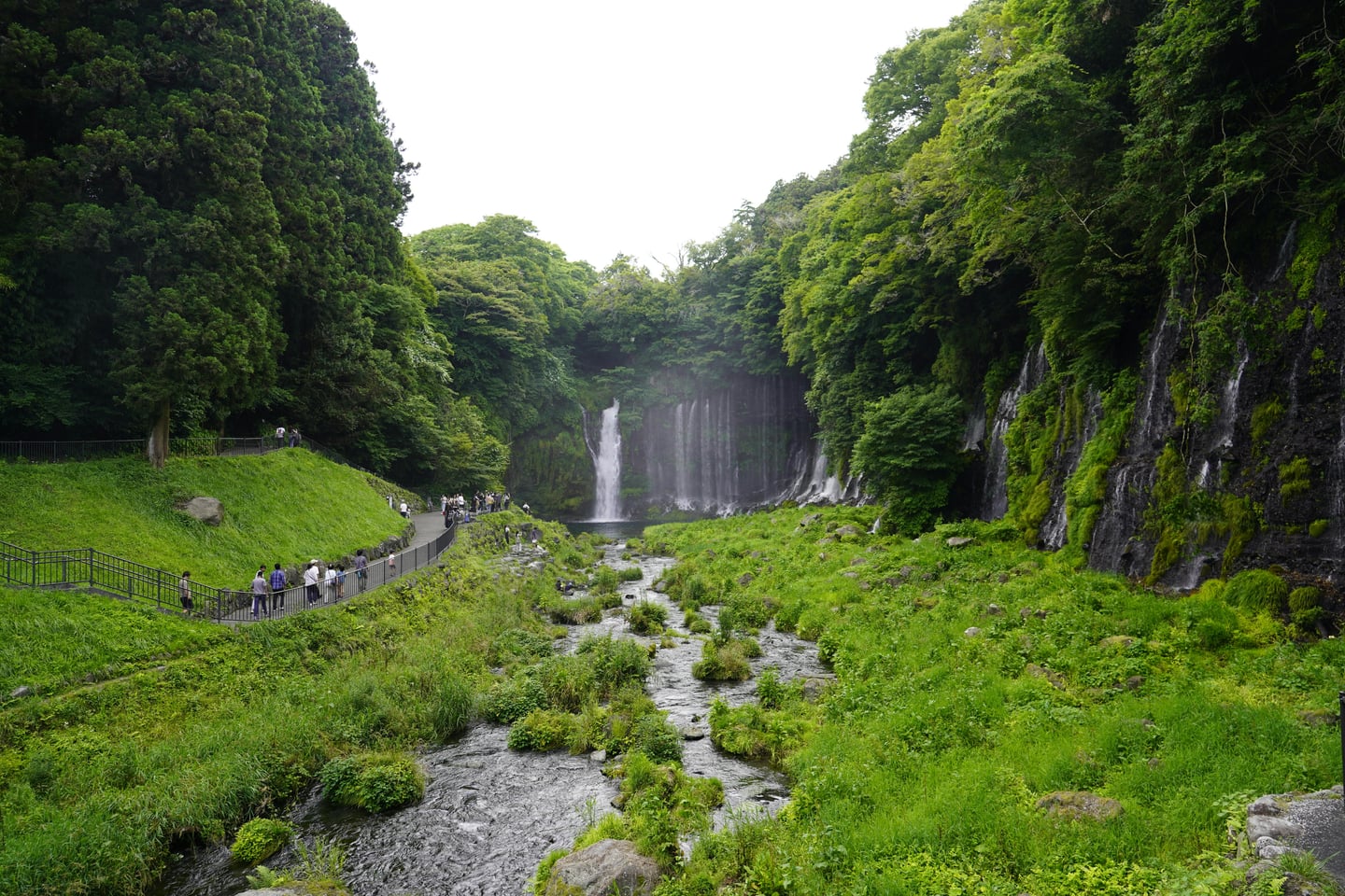 야마나시 시라이토 폭포, 푸른 숲속 절벽에서 수많은 비단실 같은 물줄기가 쏟아져 내리고 산책로를 따라 사람들이 거니는 풍경입니다.