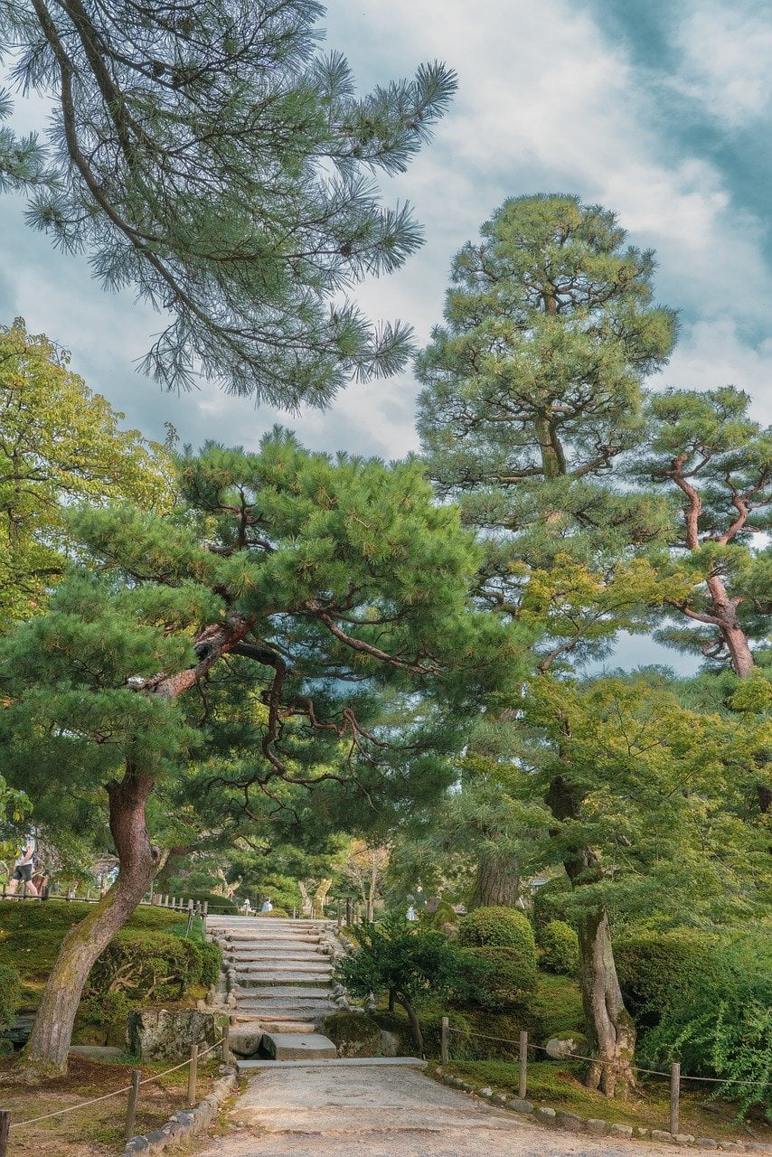 가나자와 겐로쿠엔, 울창한 소나무 숲 사이로 이어지는 고즈넉한 돌계단 산책로 풍경