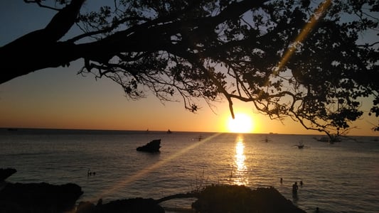 보라카이 디니위드 비치, 해 질 녘 나무 실루엣 너머로 펼쳐지는 황금빛 바다와 평화로운 돛단배의 풍경이 인상적입니다.