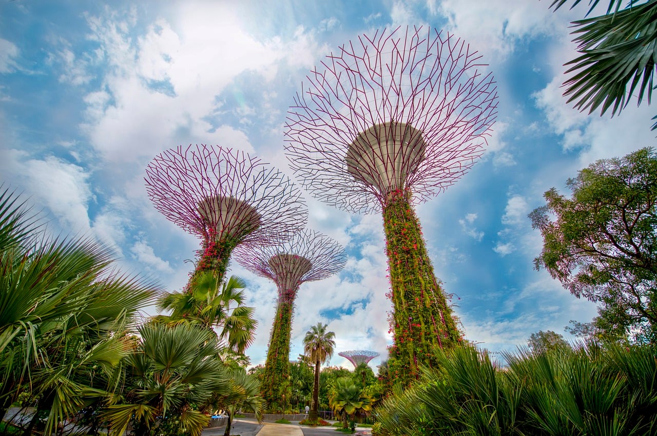 싱가포르 슈퍼트리, 푸른 하늘 아래 수직 정원이 화려하게 피어난 거대한 인공 나무 구조물들이 웅장한 자태를 뽐내고 있습니다.