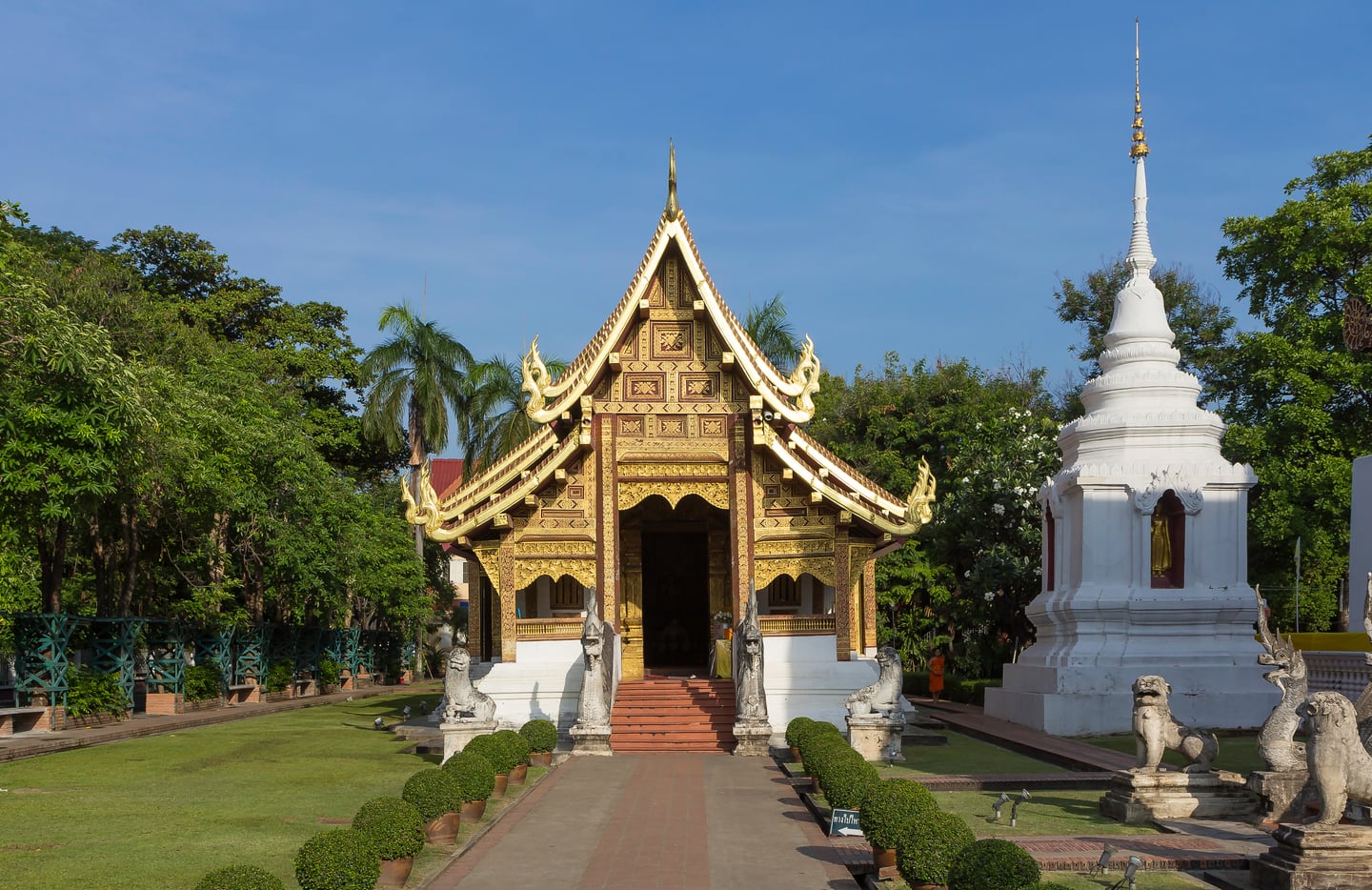 치앙마이 왓 프라싱, 푸른 하늘 아래 황금빛으로 빛나는 란나 양식 사원 건물과 정교한 흰색 탑이 어우러진 평화로운 풍경입니다.