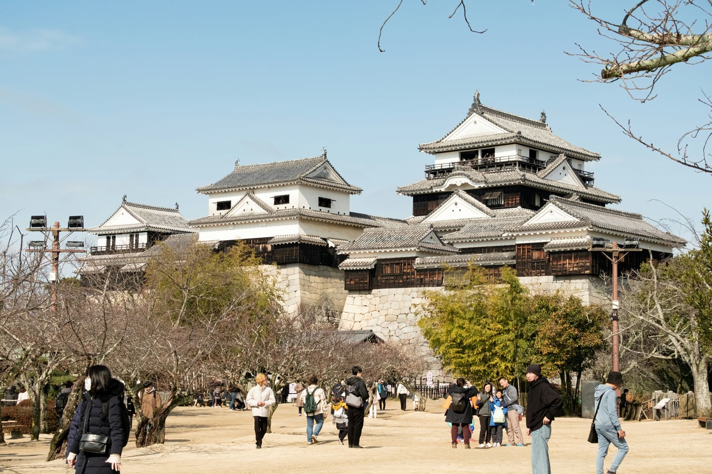 마쓰야마 마쓰야마 성, 푸른 하늘을 배경으로 웅장하게 솟아오른 전통 천수각과 성곽 주변을 산책하는 관광객들의 평화로운 모습입니다.