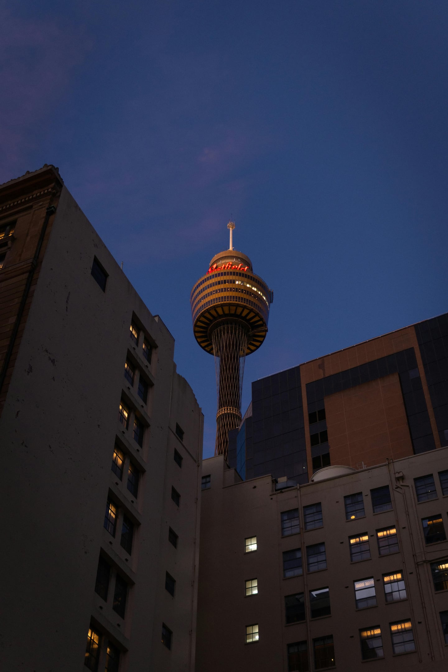 시드니 시드니 타워, 어스름한 저녁 하늘 아래 도심 건물들 사이로 붉은 조명이 켜진 타워가 우뚝 솟아 있는 풍경입니다.