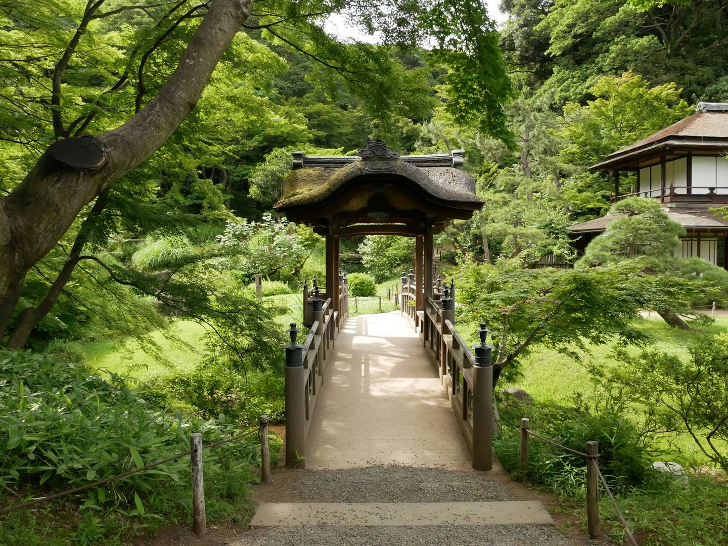 요코하마 산케이엔, 울창한 숲속에 자리 잡은 고풍스러운 이끼 지붕의 목조 다리와 전통 가옥이 어우러진 평화로운 정원 풍경입니다.