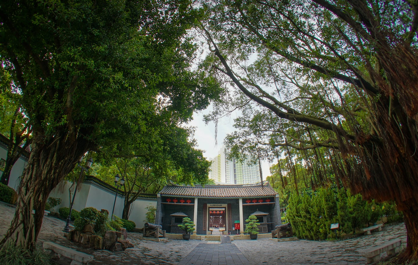 홍콩 구룡성채 공원, 울창한 고목들 사이로 보이는 전통적인 야문 건축물과 고즈넉한 안뜰의 풍경이 인상적입니다.