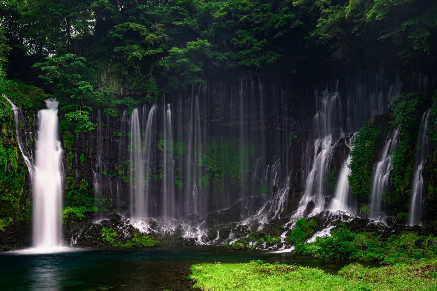 야마나시 시라이토 폭포, 울창한 숲속 암벽을 따라 수많은 비단실 같은 물줄기가 푸른 연못으로 부드럽게 쏟아지는 신비로운 풍경입니다.