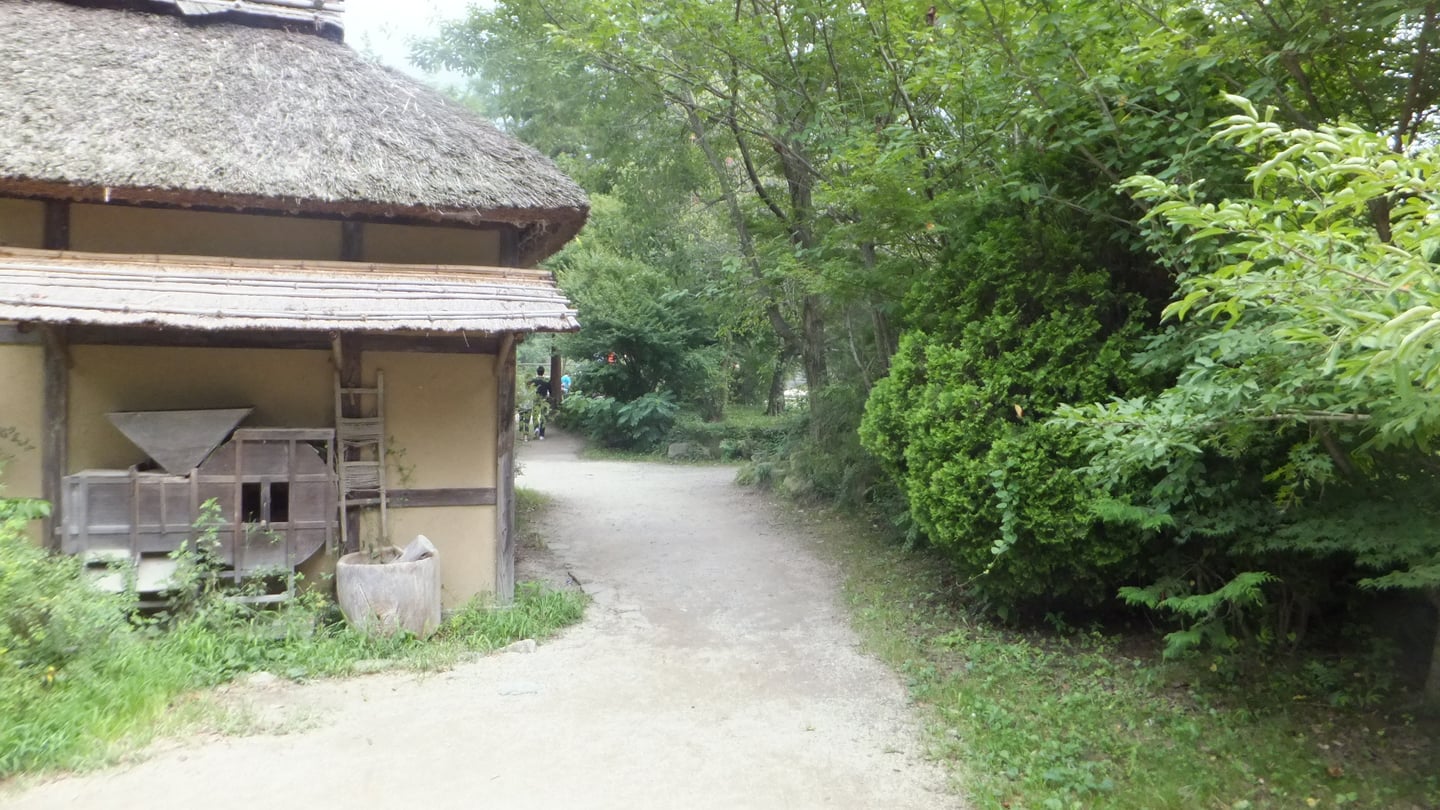 마쓰모토 대왕 와사비 농원, 영화 촬영지로 유명한 전통 초가집과 울창한 숲이 어우러진 산책로 풍경