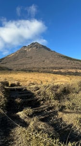 유후인 온천 100% 즐기기: 추천 료칸과 핵심 코스 총정리